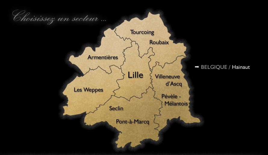 Immobilier prestige Lille